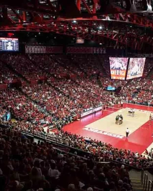 Cincinnati Bearcats Women's Volleyball vs. West Virginia Mountaineers